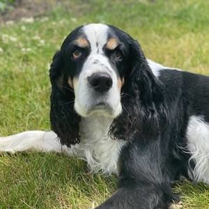 Meet your Posher, Wendy